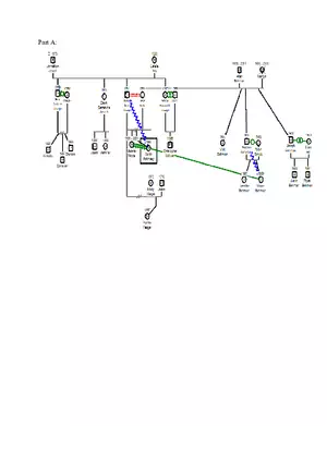 Genogram Assignment