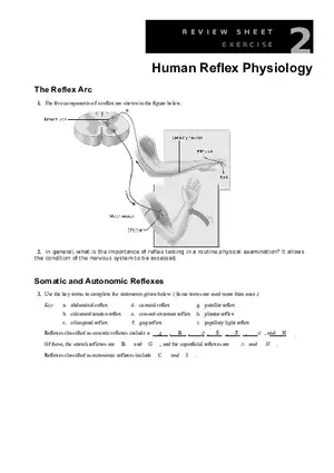 Human Reflex Physiology Exercises