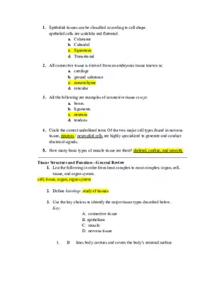 Lab- Classifying the Tissues Answers