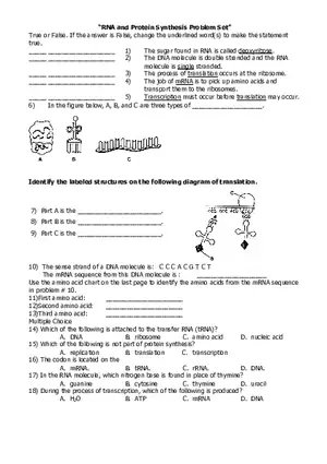RNA and Protein Synthesis Problem Set
