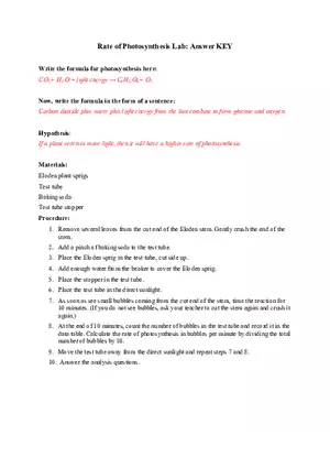 Rate of Photosynthesis Lab Key Answers