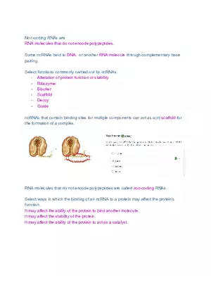 DNA and RNA Molecule Test Exam