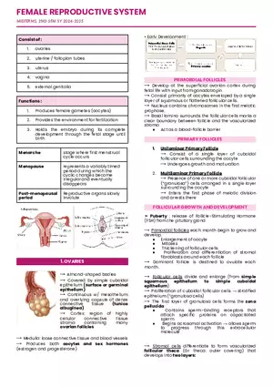 Female Reproductive System Midterm Notes