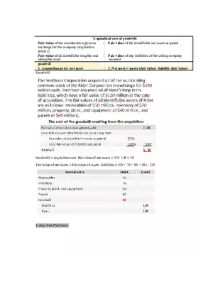 Property, Plant, and Equipment and Intangible Assets Acquisition Part 2