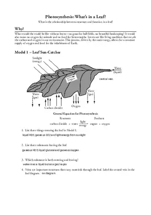 Photosynthesis - What's in a Leaf
