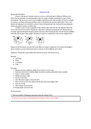 Osmosis Potato Lab