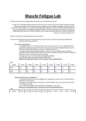 Muscle Fatigue Lab