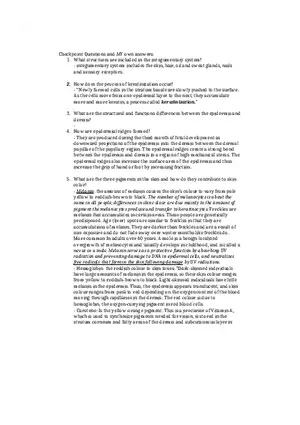 Chapter 5 Checkpoint Questions and My Own Answers
