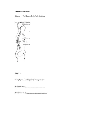 The Human Body An Orientation Worksheets Answer