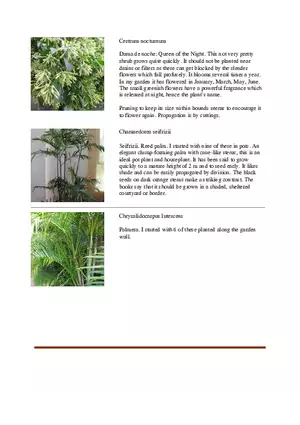 List of Common Ornamental Plants in the Philippines Part 2