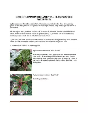 List of Common Ornamental Plants in the Philippines Part 1
