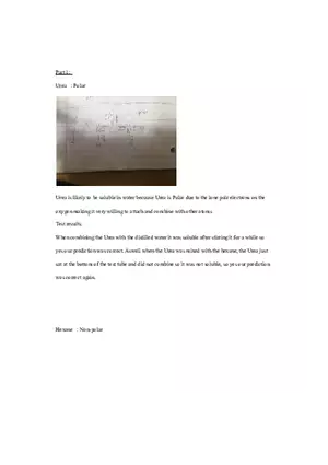 Lewis Structure - Lab