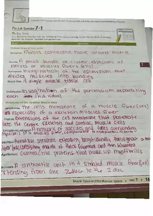 Muscle Tissue - Prelab Workbook Answer