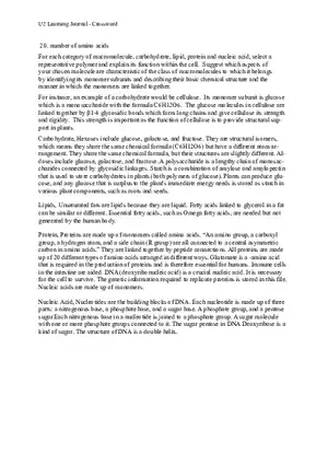 Learning Journal - Number of Amino Acids