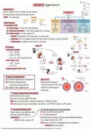 Lecture 6: Hypertension
