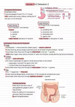 Lecture 4: GI Elimination 2
