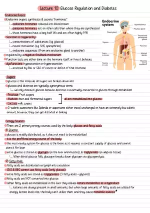 Lecture 10: Glucose Regulation and Diabetes