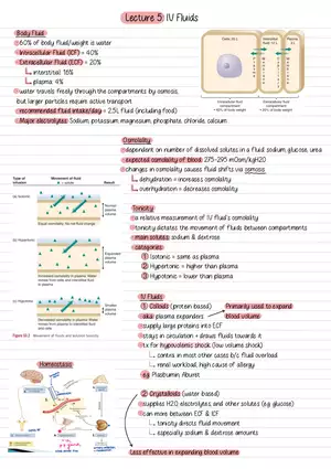 Lecture 5: IV Fluids