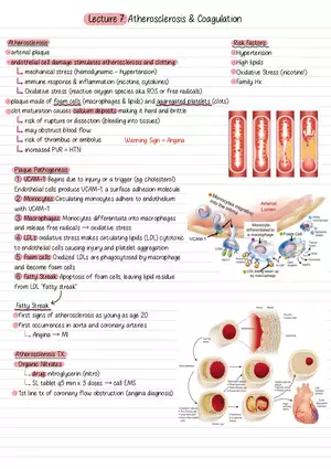 Lecture 7: Atherosclerosis & Coagulation