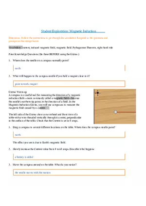 Magnetic Induction Solution