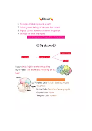 Why are Psychologists Concerned With Human Biology (Drugs)