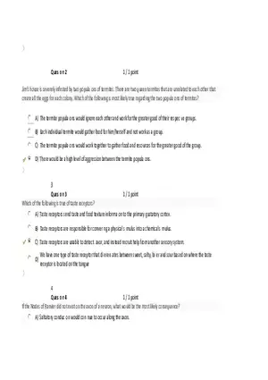 Foundations of Psychology, Neuroscience and Behaviour Exam Answer Key 6