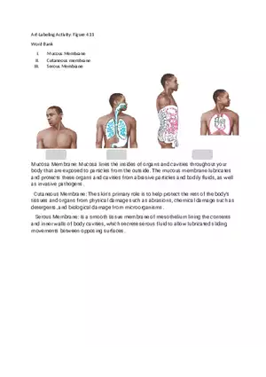 Labeling the Different Membranes
