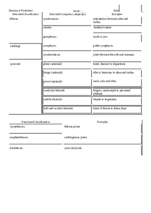 Exercise 6 Handout Fibrous