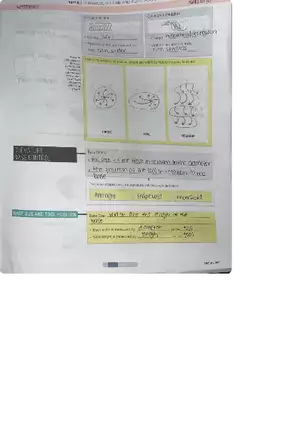 Smartnotes - Curvature Volume