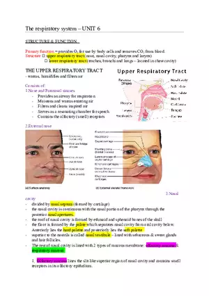 The Respiratory System (Study Guide)