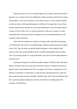 Module 5 - Social Responsibility