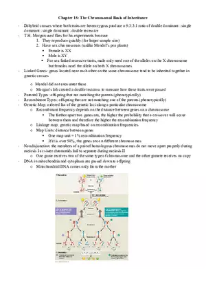 Gene Expression and Regulation