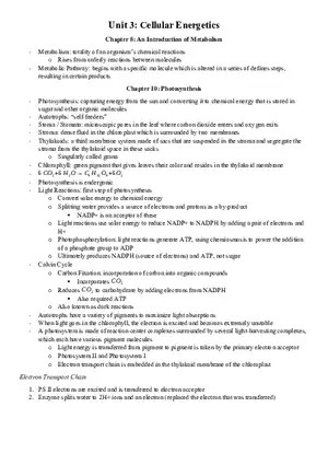 Cellular Energetics