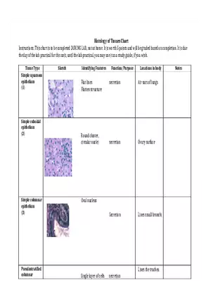 Histology of Tissues Chart 2