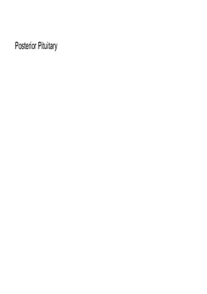 Endocrine Pharm II Exam