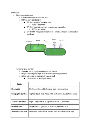 Salmonella Cheat Sheet