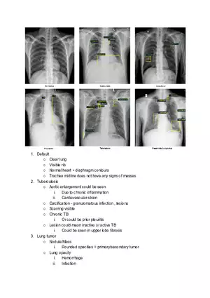 X-ray Diagnosis Learning Materials