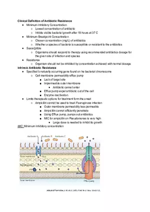 Clinical Definition of Antibiotic Resistance