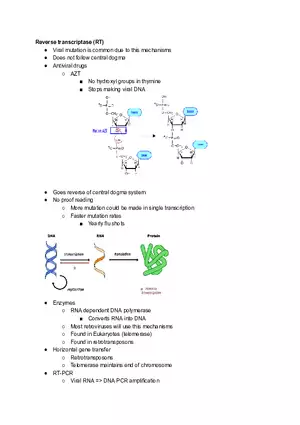 Reverse Transcriptase (RT)