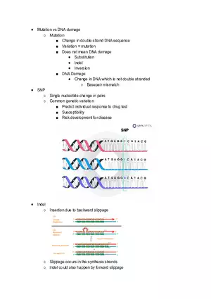 Mutation vs DNA Damage