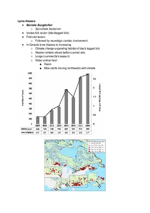 Lyme Disease