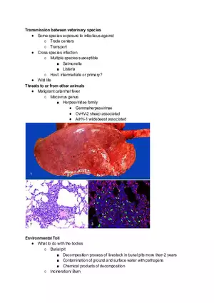 Transmission Between Veterinary Species