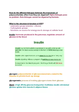 Amino Acids, Peptide Bonds and Protein Structure Study Guide 4