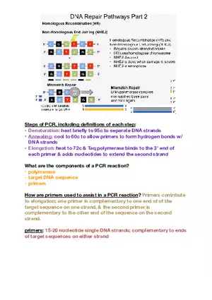 Amino Acids, Peptide Bonds and Protein Structure Study Guide 3