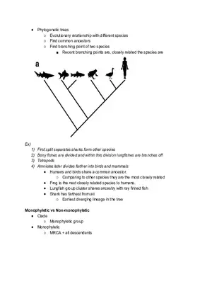Monophyletic vs Non-monophyletic
