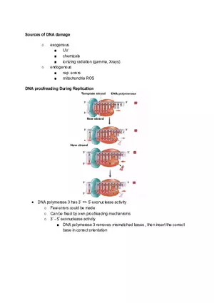 Sources of DNA Damage
