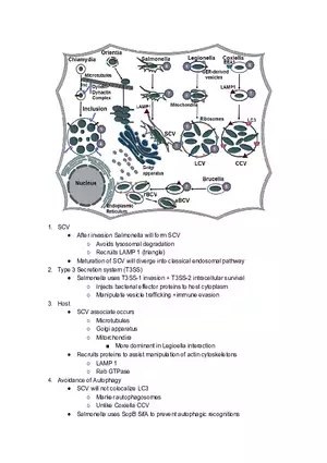 SCV Diagram Break Down