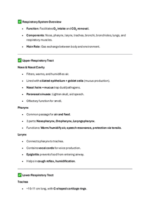 Respiratory System Overview