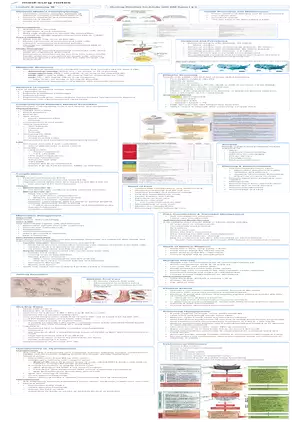 Lecture 2: Nursing Priorities for Adults with DM Types I & II