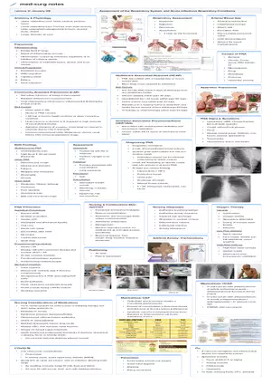 Lecture 5: Assessment of the Respiratory System